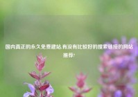 国内真正的永久免费建站,有没有比较好的搜索链接的网站推荐?
