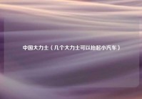 中国大力士（几个大力士可以抬起小汽车）