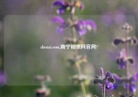 zhenai.com,南宁相亲网官网?