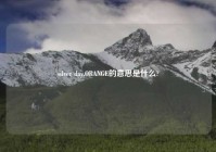 silver day,ORANGE的意思是什么?