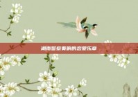 湖南警察奏响的恋爱乐章