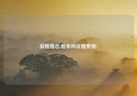 征婚婚恋,相亲网征婚费用?