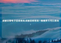 成都交警电子违章查询,成都违章查询一般要多久可以查询?