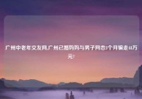 广州中老年交友网,广州已婚妈妈与男子网恋3个月骗走48万元?