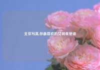 北京写真,你最喜欢的女明星是谁