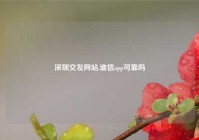深圳交友网站,谁信app可靠吗