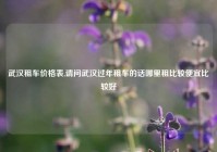 武汉租车价格表,请问武汉过年租车的话哪里租比较便宜比较好
