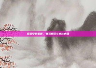 探索号的笔顺，书写规范与文化内涵