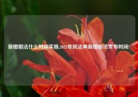 新婚姻法什么时候实施,2022年民法典新婚姻法发布时间?