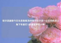 哈尔滨最新今日头条新闻,如何看待哈尔滨一公交司机因口角下车追打72岁乘客致死一事?