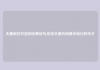 夫妻同甘共苦的经典短句,形容夫妻共同携手同行的句子