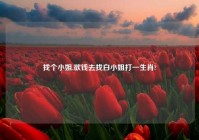 找个对象,欲钱去找白对象打一生肖?