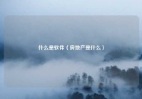 什么是软件（房地产是什么）