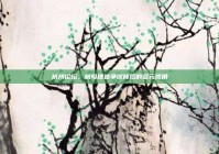 杭州论坛，航母建造争议背后的多元视角