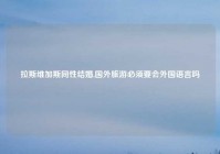 拉斯维加斯同性结婚,国外旅游必须要会外国语言吗