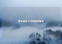数字谐音,宁字的谐音数字