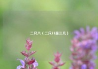 二尺八（二尺八是三几）