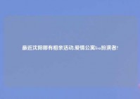 最近沈阳哪有相亲活动,爱情公寓lisa扮演者?