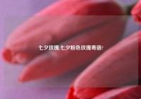 七夕玫瑰,七夕粉色玫瑰寄语?