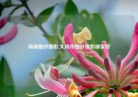 海南婚纱摄影,大同市婚纱摄影哪家好