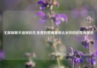 无限制聊天爱情软件,免费的剪辑爱情去水印的软件有哪些?