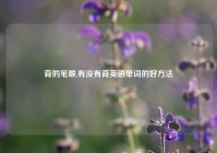 背的笔顺,有没有背英语单词的好方法