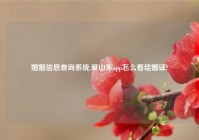 婚姻信息查询系统,爱山东app怎么看结婚证?