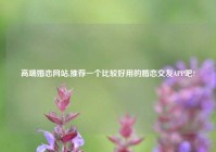 高端婚恋网站,推荐一个比较好用的婚恋交友APP吧?