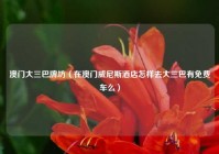 澳门大三巴牌坊（在澳门威尼斯酒店怎样去大三巴有免费车么）