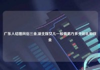 广东人结婚风俗三金,湖北嫁女儿一般要男方多少彩礼和现金