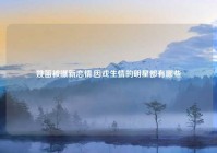 姚笛被曝新恋情,因戏生情的明星都有哪些