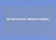 棒打鸳鸯之休夫有理（锦素流年的小说有哪些）