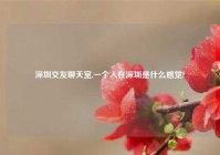 深圳交友聊天室,一个人在深圳是什么感觉?