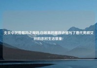 北京中民婚姻网正规吗,白居易的哪首诗描写了唐代男耕女织的农村生活景象?