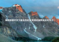 喝桃林酒交天下朋友的说说,赏桃花幽默搞笑的句子?