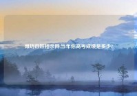 潍坊百姓相亲网,当年你高考成绩是多少?