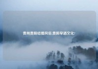 贵州贵阳结婚风俗,贵阳早酒文化?