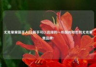 尤克里里新手入门,新手可以选择的一些国内知名的尤克里里品牌?