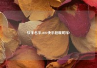 快手名字,2021快手超暖昵称?