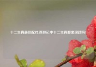 十二生肖最佳配对,西游记中十二生肖都出现过吗?