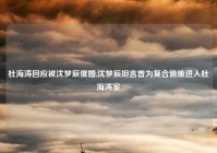 杜海涛回应被沈梦辰催婚,沈梦辰坦言曾为复合偷偷进入杜海涛家