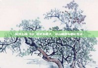 探寻上海 90 后交友圈子，多元碰撞与精彩生活