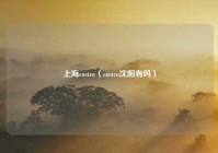 上海costco（costco沈阳有吗）