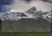 黄伞,伞组词有哪些