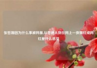 张哲瀚因为什么事被网暴,从普通人到在网上一夜爆红成网红是什么感觉