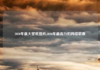 2020年最火壁纸图片,2020年最流行的网络歌曲