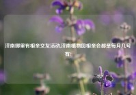济南哪里有相亲交友活动,济南植物园相亲会都是每月几号有?