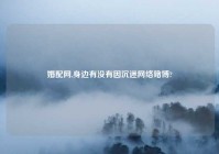 婚配网,身边有没有因沉迷网络赌博?