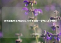 贵州农村结婚风俗全过程,会不会在一个月的冷静期后?