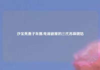 沙宝亮妻子朱娜,电视剧里的三代苏麻喇姑